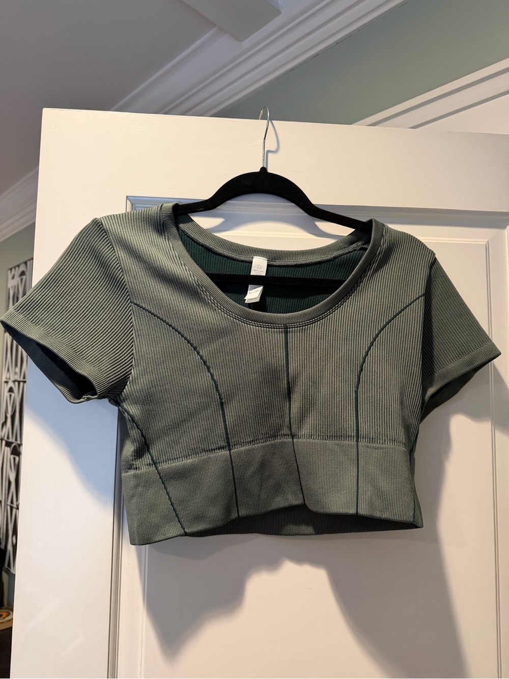 aerie Ribbed Sage Green Short Sleeve Crop Top